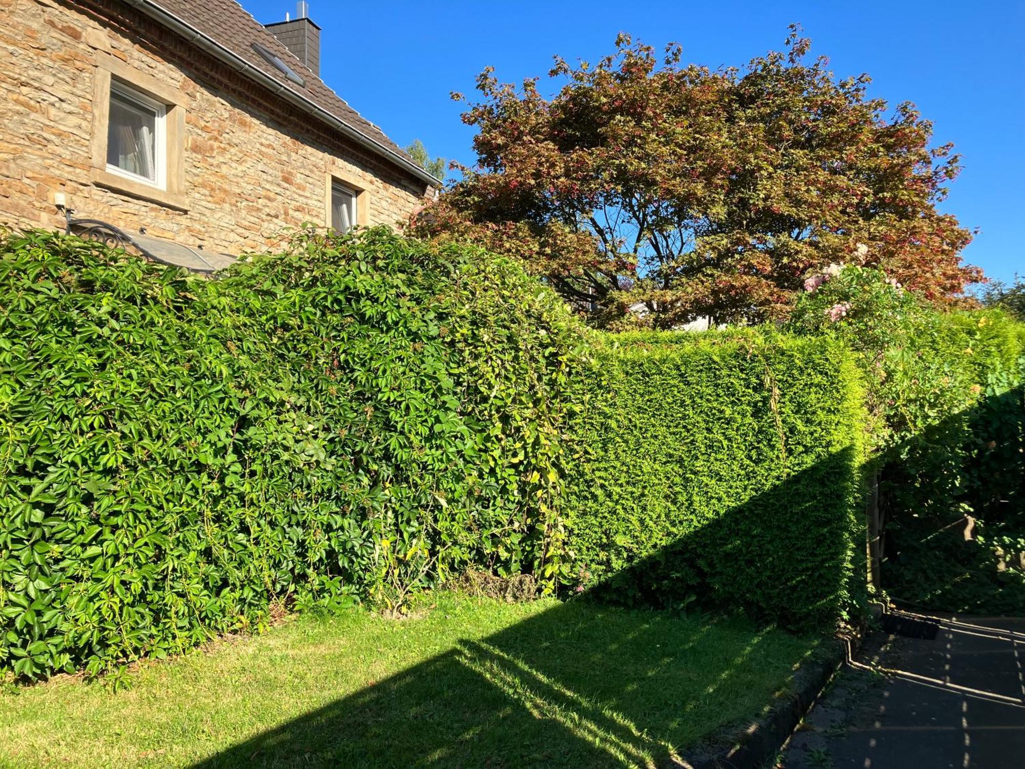 Ferienwohnung Im Gruenen Eg Mit Terrasse 黑尔德克 外观 照片